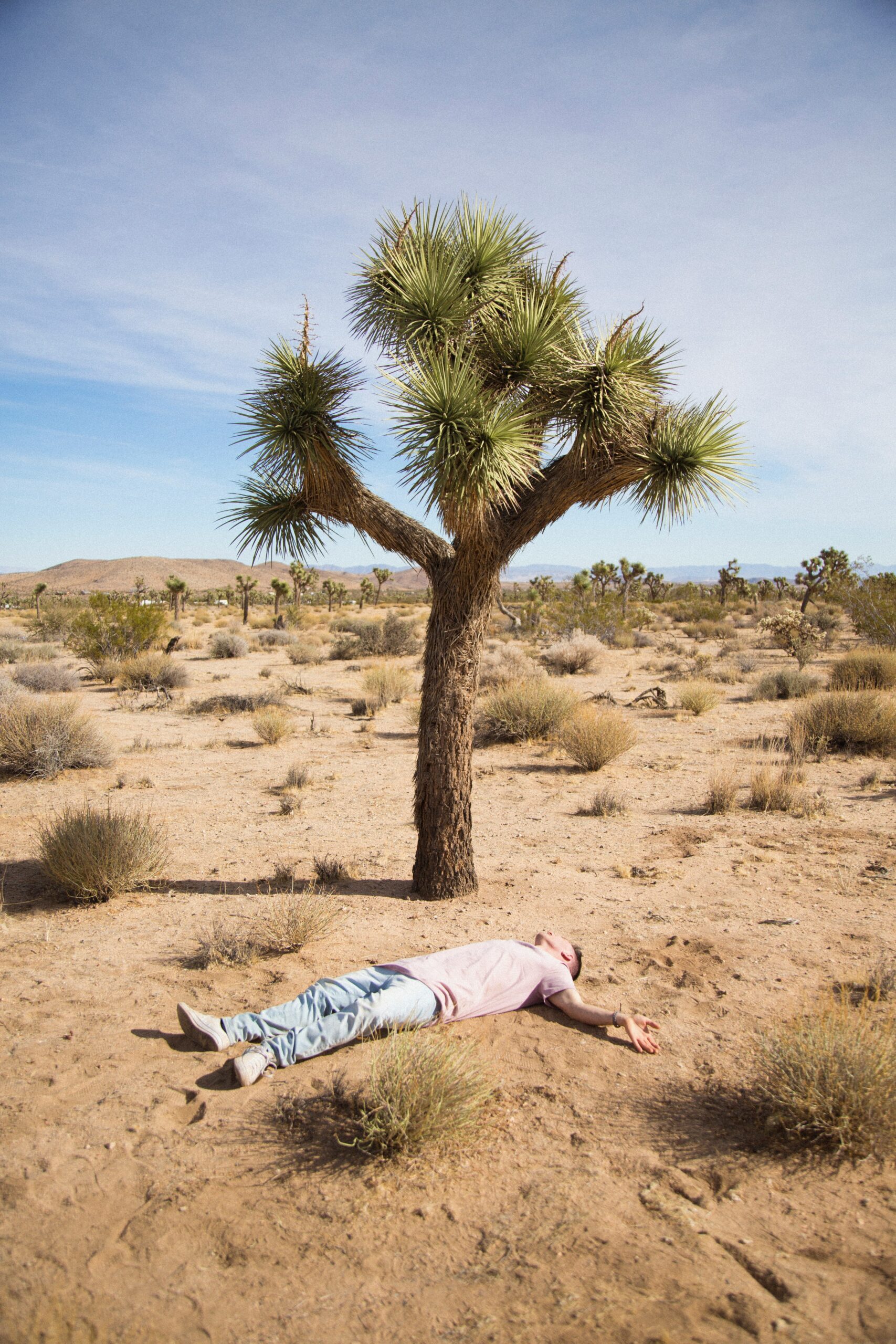 Midlife Transformation: Answering the Call of Your Inner Self